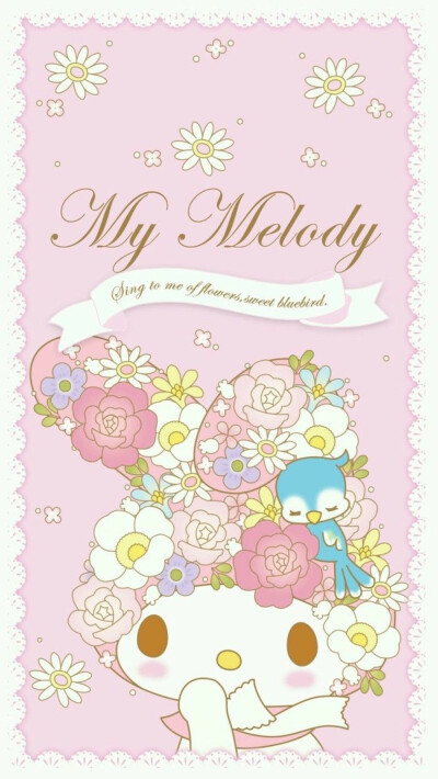 melody 美乐蒂