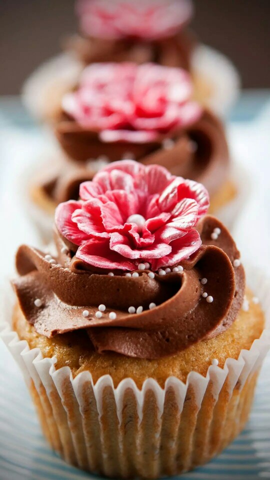 复杂的世界里 简单就好