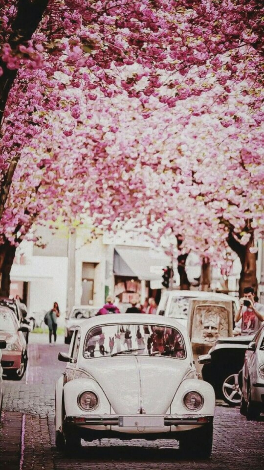 愿 以后可以和自己爱的人 开着可爱复古的白铁皮车 伴随淡粉色的花香 来一场说走就走的爱之旅