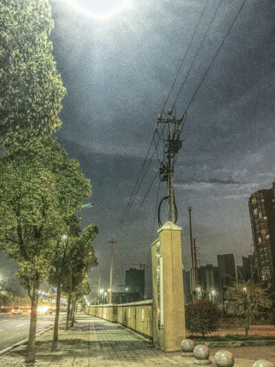 恐怕我永远都不会知道怎样是爱一个人