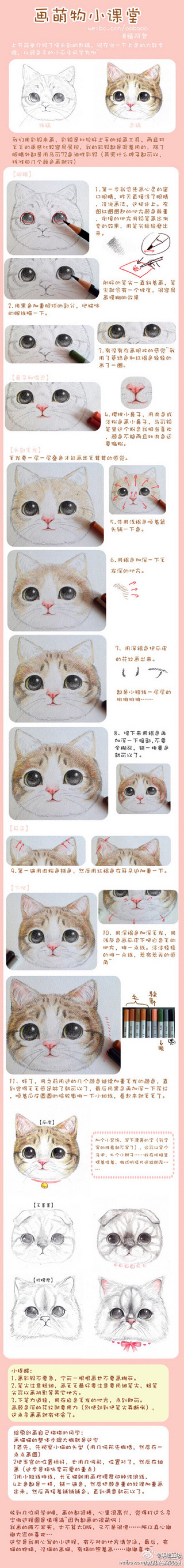 猫咪手绘插画教程