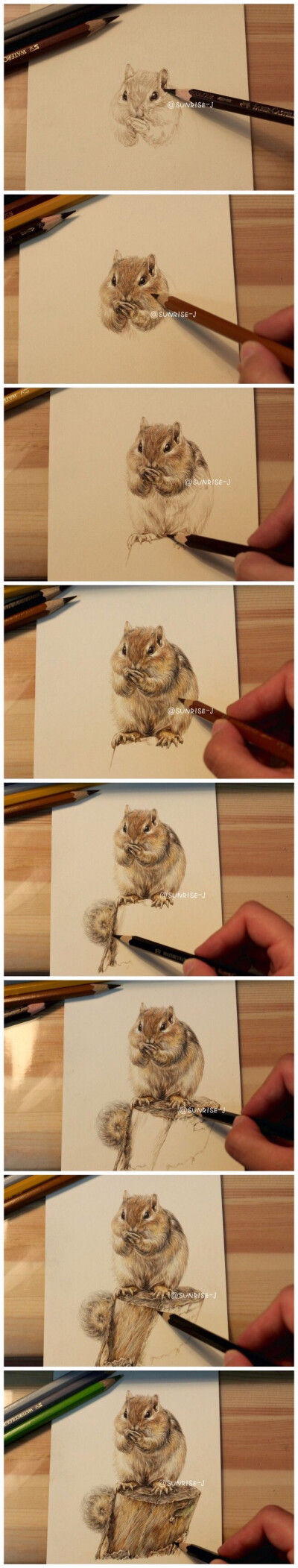 松鼠手绘插画作品教程