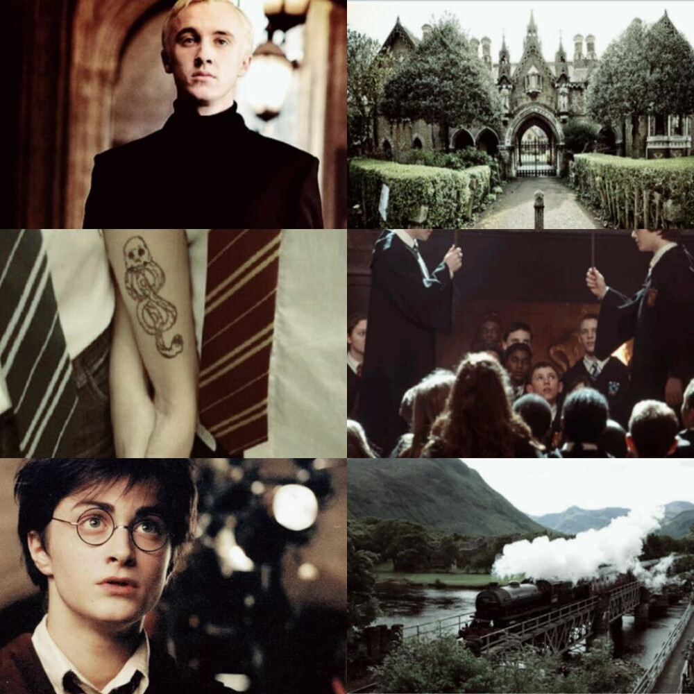 Harry and Draco