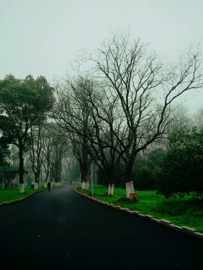 高清壁纸 风景