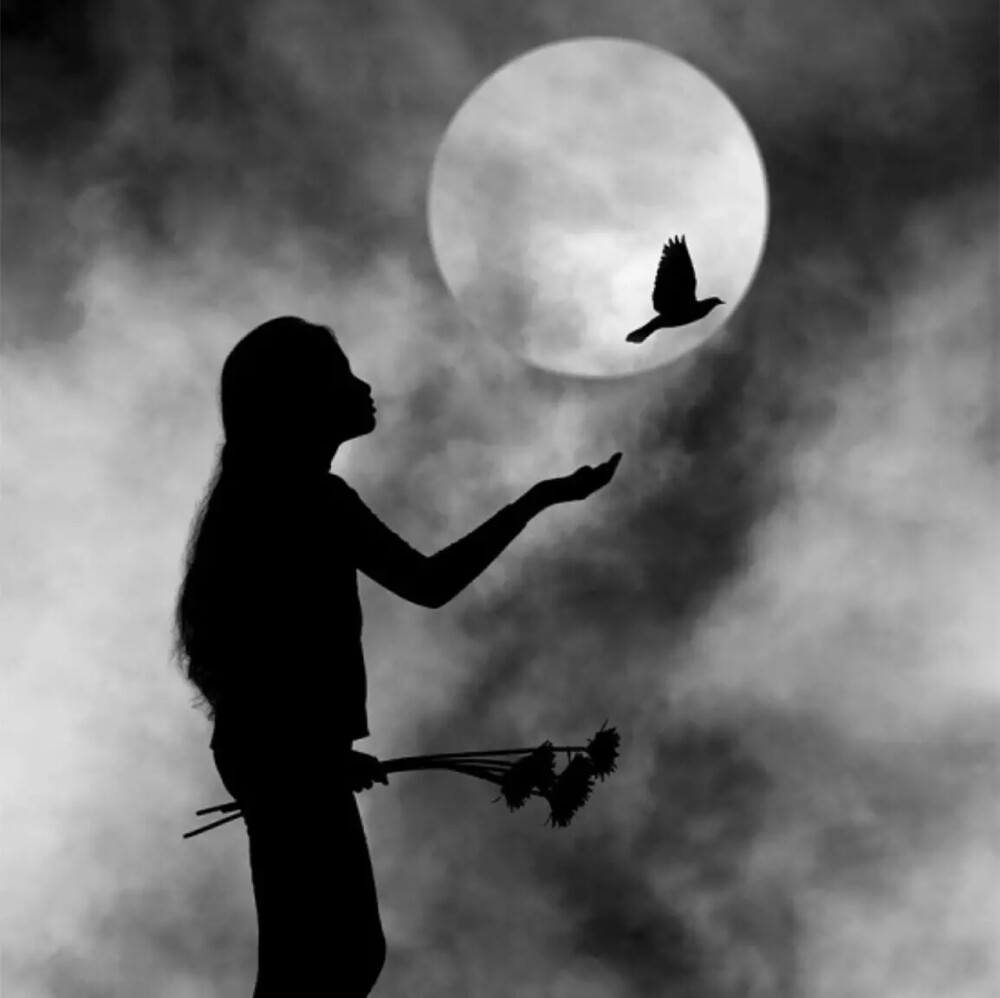 请你带来 我的光