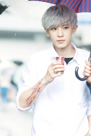 朴灿烈#exo表情包，小可爱- 高清图片，堆糖，美图壁纸兴趣社区