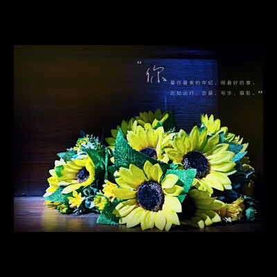 筱筱翊原创摄影-记录生活