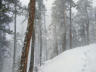 香格里拉雪景