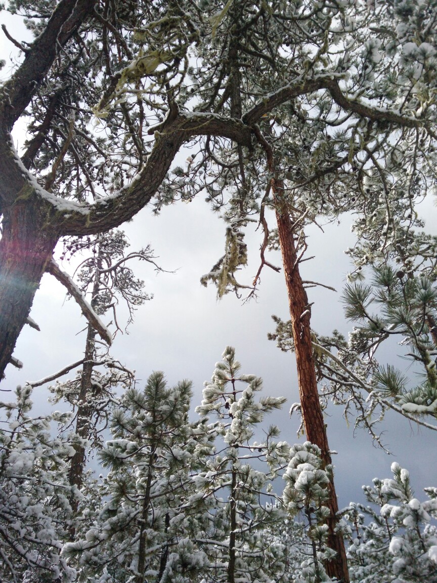 香格里拉雪景