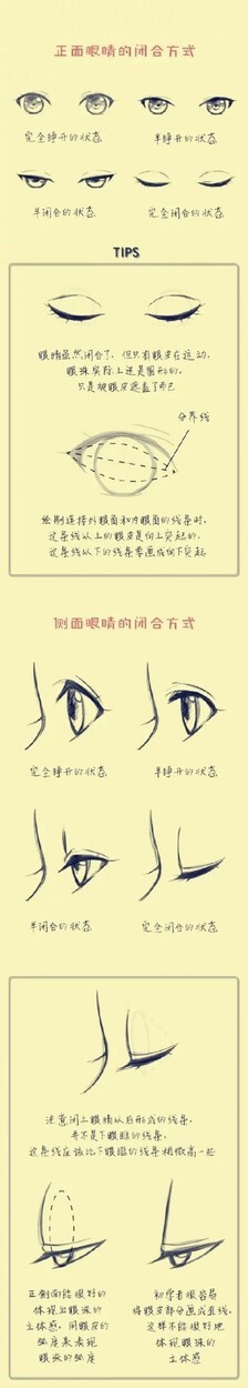 【绘画教程】手绘眼睛的闭合描绘方式