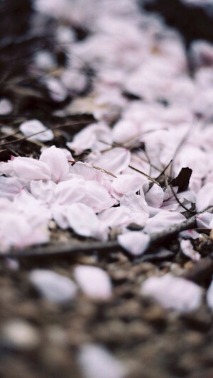 IPHONE 壁纸  禅 源自：WallPaper