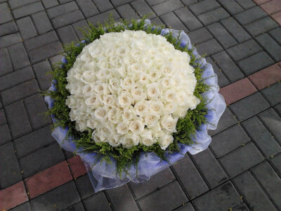 白色芬德拉玫瑰，象征着最纯洁唯美的爱恋，但愿我在你最纯情的爱恋里慢慢变老