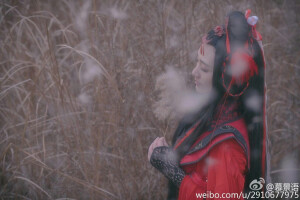 #相里-阿兰若#   #阿兰若#：慕景语 