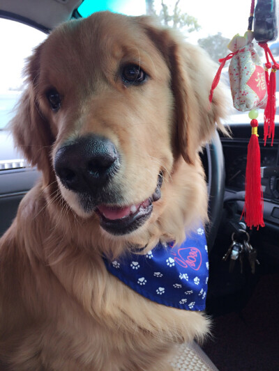 【和狗狗的十个约定】 ①请一定要仔细聆听我的话。 ②信赖我，就像我总是信赖你一样。 ③多和我一起游戏。 ④永远都不要忘记我。 ⑤不要吵架。 要是打架的话，一定是我胜利。 ⑥对我说话，我没有听到的话。一定是有…