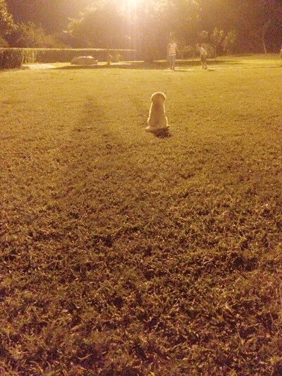 【和狗狗的十个约定】 ①请一定要仔细聆听我的话。 ②信赖我，就像我总是信赖你一样。 ③多和我一起游戏。 ④永远都不要忘记我。 ⑤不要吵架。 要是打架的话，一定是我胜利。 ⑥对我说话，我没有听到的话。一定是有…