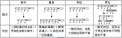 染色体的缺失