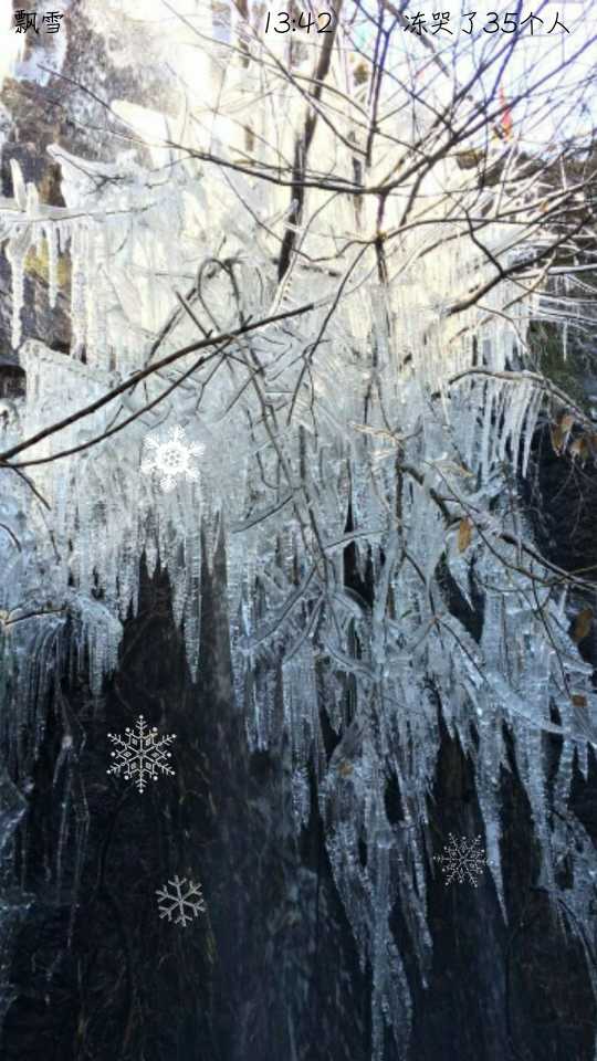 2015年第一场雪融后结冰