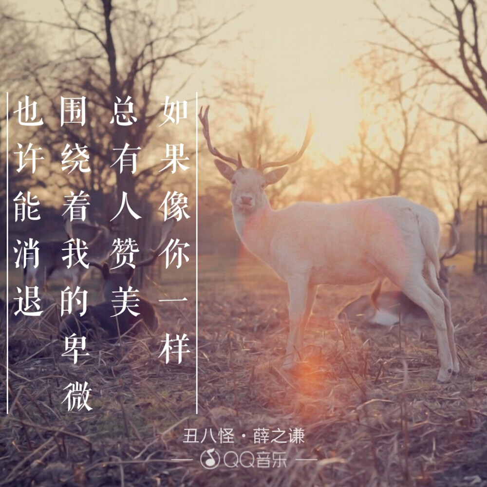 薛之谦的《丑八怪》