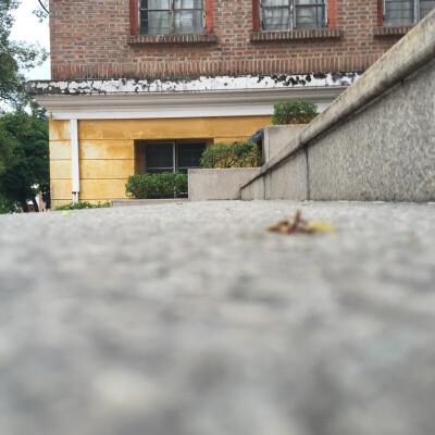  落叶