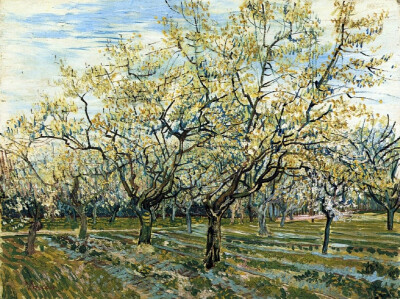梵高油畫里的三月果園，春天就像一首怒放的詩歌。