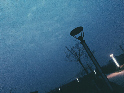 Night