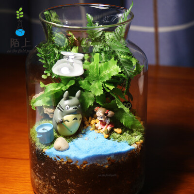 苔藓微景观生态瓶送男女友生日礼物 办公室创意迷你盆栽桌面绿植