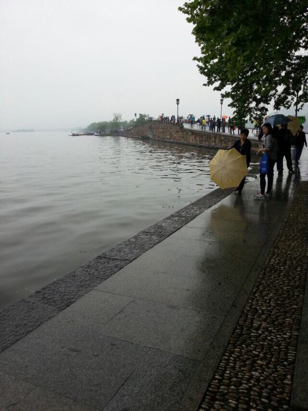 细雨断桥