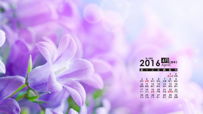 2016年4月唯美鲜花日历电脑壁纸