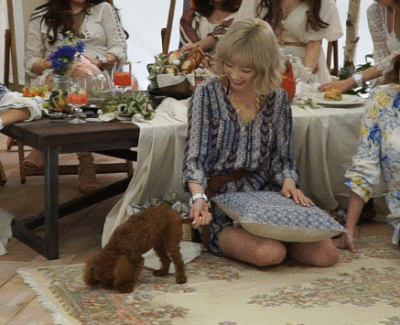 抽抽好可爱，求小狗心理阴影面积