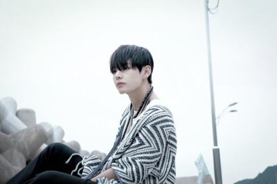 防弹少年团 방탄소년단 화양연화 pt.2