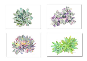 Succulent print set of 4, botanical art, succulent watercolor painting,
garden wall art, living room wall art, contemporary prints