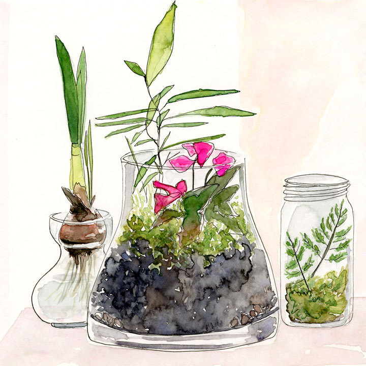 Terrarium No. 1 - Original Watercolor Painting by Lindsay Gardner