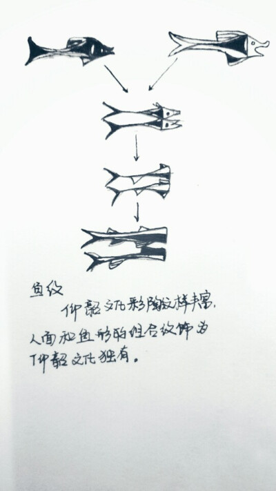 鱼纹