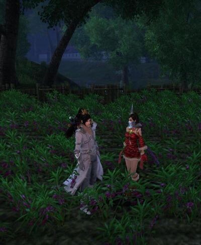 虎头衣＋蛟鳞衣