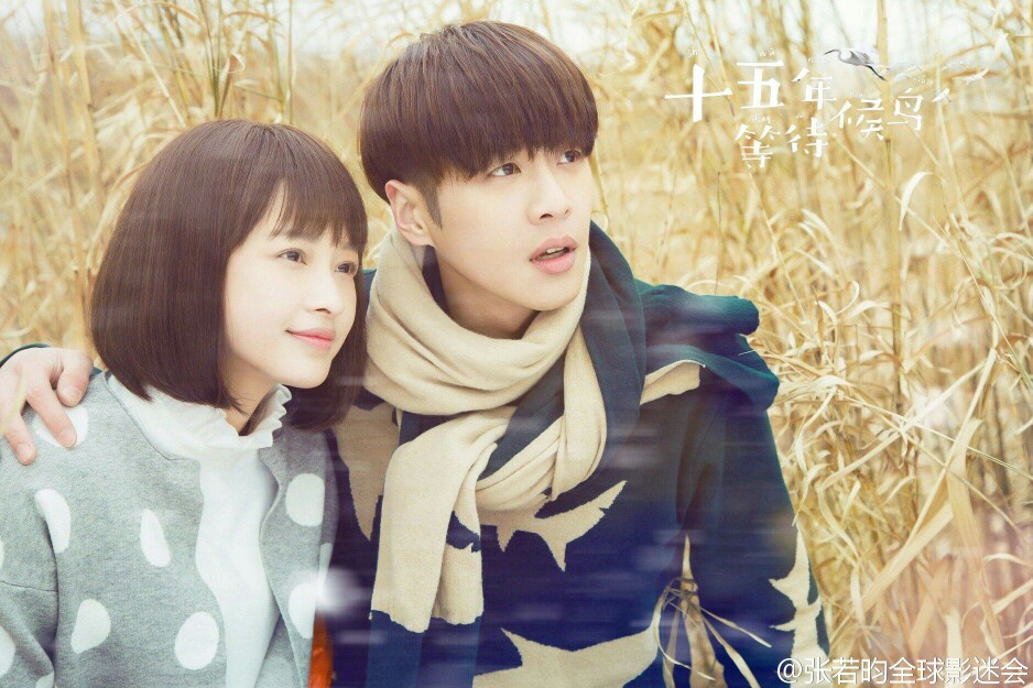 《十五年等待候鸟》