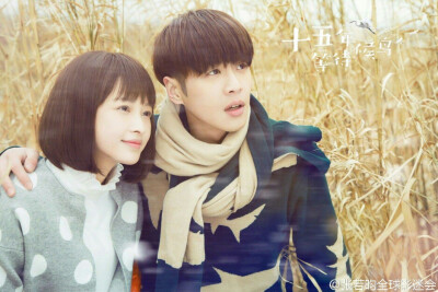 《十五年等待候鸟》