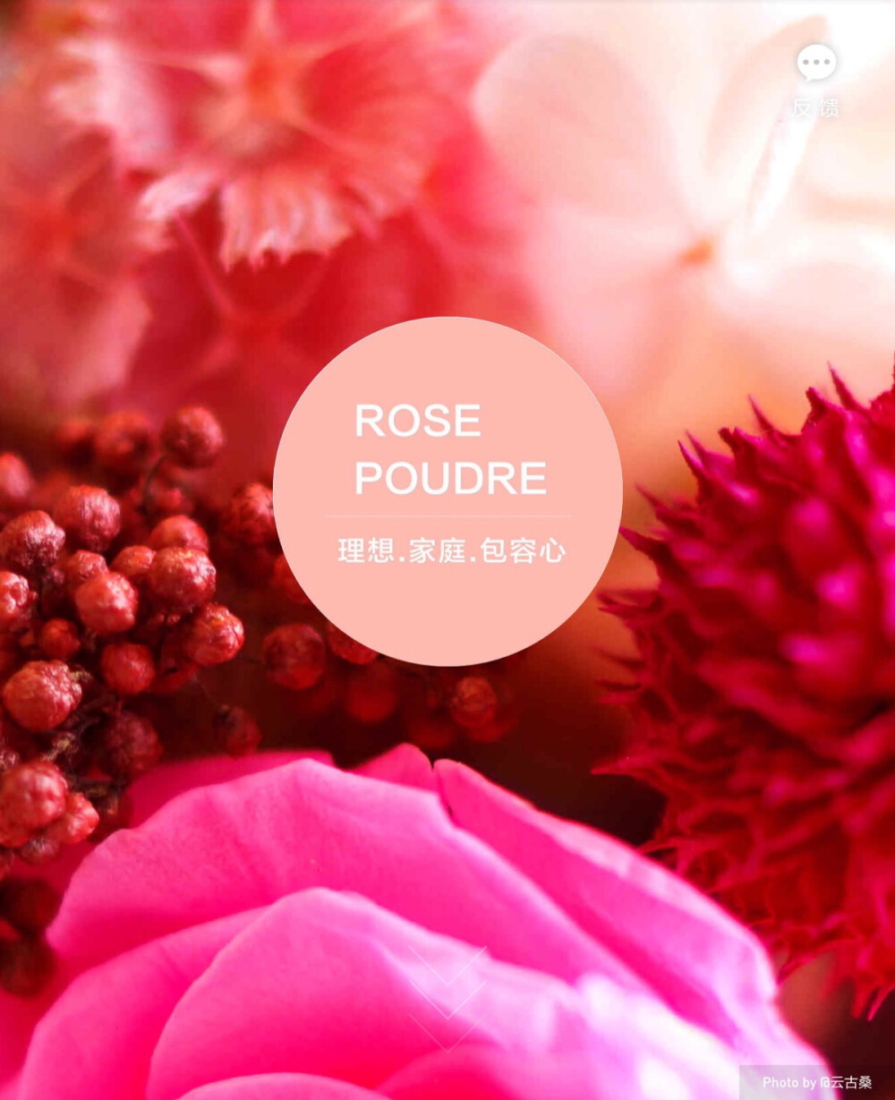 淘宝色彩购——ROSE POUDRE（玫瑰色粉）