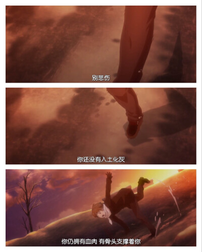 #热血##励志##治愈系#樱子小姐脚下埋着尸体