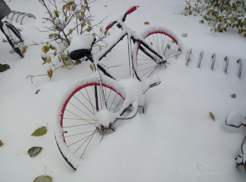 15年11月的大雪