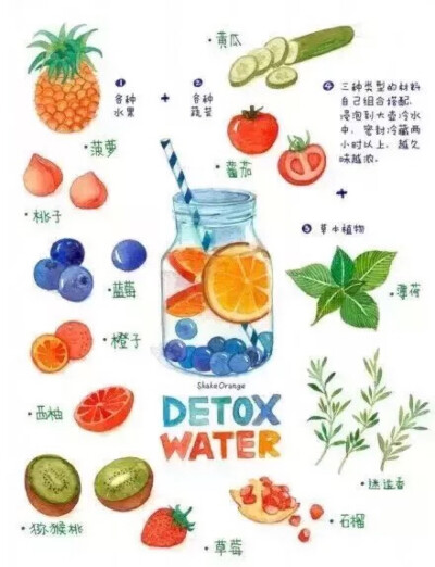 Detox Water(转)