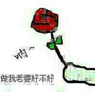 给你一朵小红花表情包