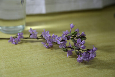 (╭☞´ิ∀´ิ)╭☞