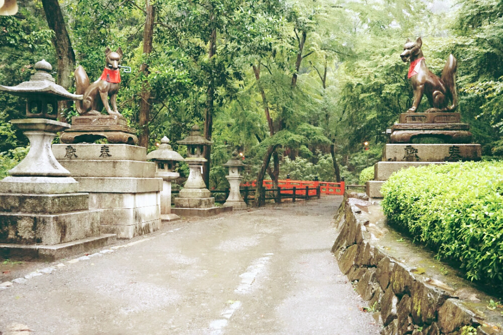 下雨天的伏见稻荷神社