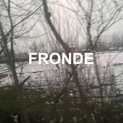 摄影 FRONDE