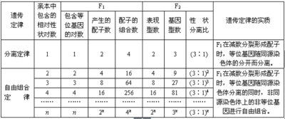 遗传定律