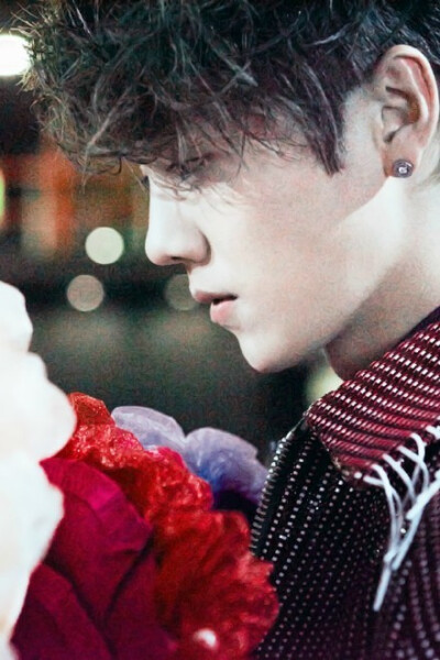 鹿晗（LU HAN）