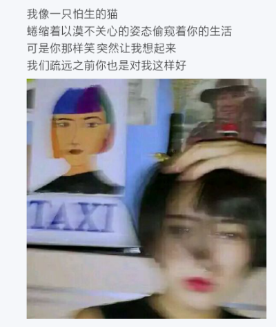 自截图片，文与图，----叔泱