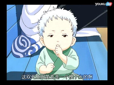 堪七郎宝宝～死鱼眼➕天然卷 像极银时的婴儿