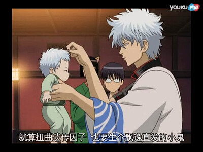 堪七郎宝宝～死鱼眼➕天然卷 像极银时的婴儿