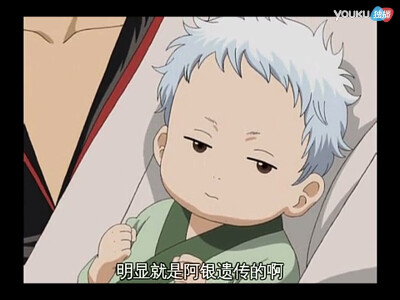 堪七郎宝宝～死鱼眼➕天然卷 像极银时的婴儿